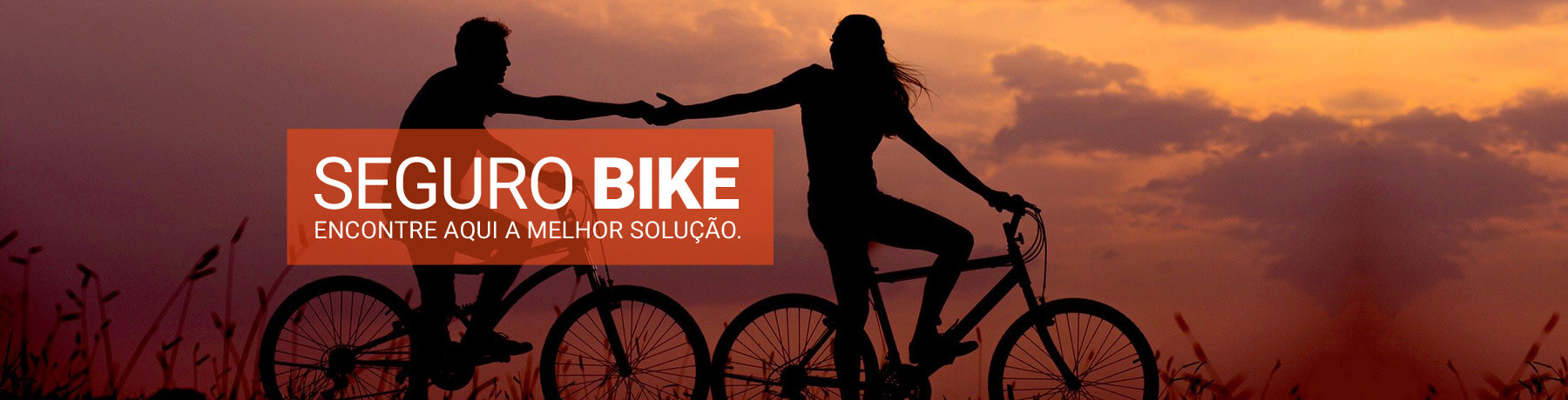 Seguro para Bike